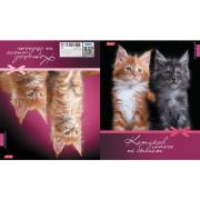 Тетрадь двойная 48 л. кл. "Котиков много не бывает" 5 диз. в блоке